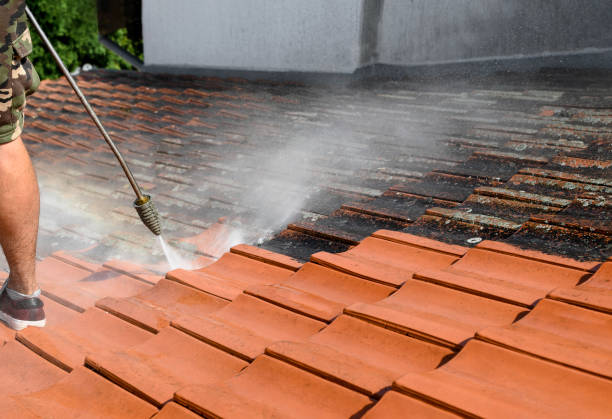 Best Affordable Pressure Washing  in Lone Pine, CA